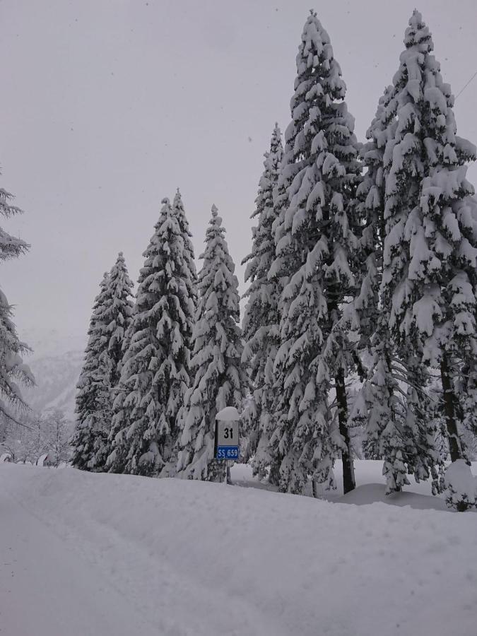 Mini Chalet Walser Formazza Esterno foto